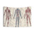 Vintage Scientific Illustration Tapestry featuring Adolphe Millot's Human Anatomy Drawings
