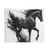 Magical Ebony Horse Tapestry Wall Art