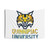 Quinnipiac University Bobcats Tapestry