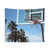 Basketball and Palm Trees Tapestry