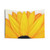 Large Yellow Sunflower Painting Tapestry
