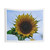 Sunflower print 3-piece tapestry set