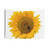 Sunflower Magnet Tapestry - Vibrant Wall Art