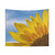Sunflower Tapestry: Dramatic Art Photo of Blue Sky Sunflower