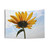 Sunflower Kissing the Sky Tapestry