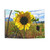 Sunflower field tapestry wall hanging