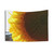 Large Sunflower Tapestry Wall Decor
