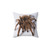 Tarantula Spider Decorative Pillow