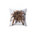 Tarantula Spider Decorative Pillow
