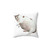 Cute overweight cat printed on a decorative pillow