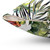 Tropical Jungle Throw Pillow with Watercolor Floral and Bird Motif