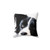 Adorable Border Collie Puppy Pillow
