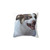 Mr Bubz Chihuahua Decorative Pillow