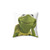 Kermit The Frog Decorative Pillow