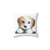 Cute Cavachon Dog Pillow with Geometric Pattern