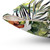 Tropical Garden 5 Pillow with Watercolor Leaves and Bird of Paradise