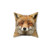 Cute Fox Sleeping Pillow