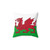 Welsh Flag Pillow with Dragon Design