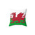 Welsh Flag Pillow with Dragon Design
