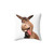 Shrek Donkey Themed Decorative Throw Pillow