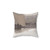 Taupe and Charcoal Grey Modern Abstract Painting Pillow