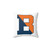 Bucknell Bison Logo Decorative Throw Pillow