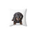 Charming Dachshund Puppy Dog Pillow