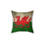 Vintage Welsh Flag Distressed Pillow