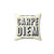 Carpe Diem Inspirational Throw Pillow