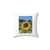 Sunflower Motivational Quote Art Pillow