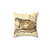 Natural History Dinictis Felina Pillow