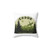 Endor National Park Star Wars Themed Pillow