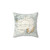 Vintage Antarctica Map Pillow