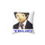 Adachi Persona 4 True Memory Foam Pillow