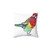 Eastern Rosella Bird Watercolor Pillow