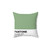 Pantone Fair Green Decorative Pillow