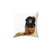 Latrice Royale Pillow - RuPaul's Drag Race Merchandise