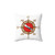 Diver and Dive Compass Decorative Pillow