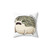 Desert Rain Frog Throw Pillow