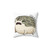 Desert Rain Frog Throw Pillow
