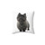 Black Cairn Terrier Dog Pillow
