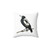 Australian Magpie Drawing Pillow - Iconic Collingwood Bird