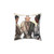 Dragon Age Inquisition Mages Pillow