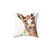Cute Cheeky Donkey with Flower Decorative Pillow