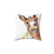 Cute Cheeky Donkey with Flower Decorative Pillow