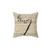 Clarinet-themed decorative pillow for musicians
