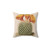 Botanical Cactus Throw Pillow