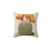 Botanical Cactus Throw Pillow