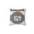 Oasis Band Celebration Pillow