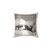 Taylor Swift Album Cover Pillow